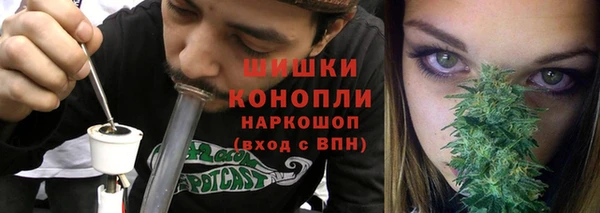 ПСИЛОЦИБИНОВЫЕ ГРИБЫ Гусь-Хрустальный