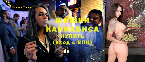 ПСИЛОЦИБИНОВЫЕ ГРИБЫ Гусь-Хрустальный