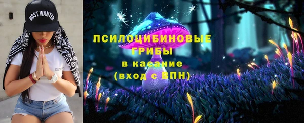 ешки Гусиноозёрск