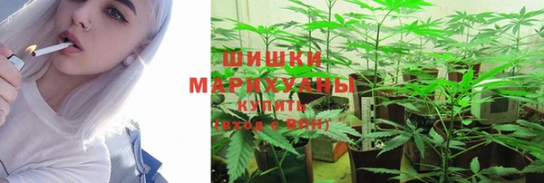 прущий лед Гусев