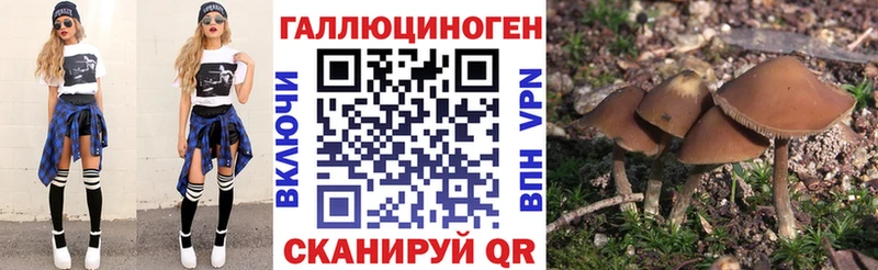 Купить закладки  Козельск  Галлюциногенные грибы Magic Shrooms 